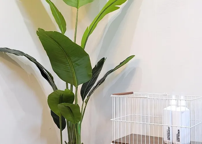 Apartamento Gongdeok Private 5 Min To Subway *